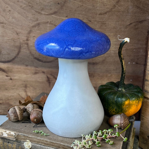 Bud Vase with Mushroom Topper (FA84)