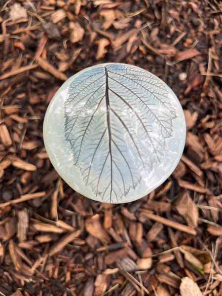 Mushroom Garden House - Wild Black Raspberry leaf impression (Q03)